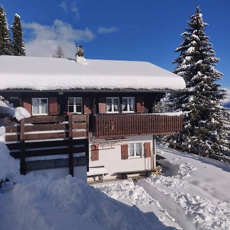 Chalet Grazia Riederalp Extérieur photo