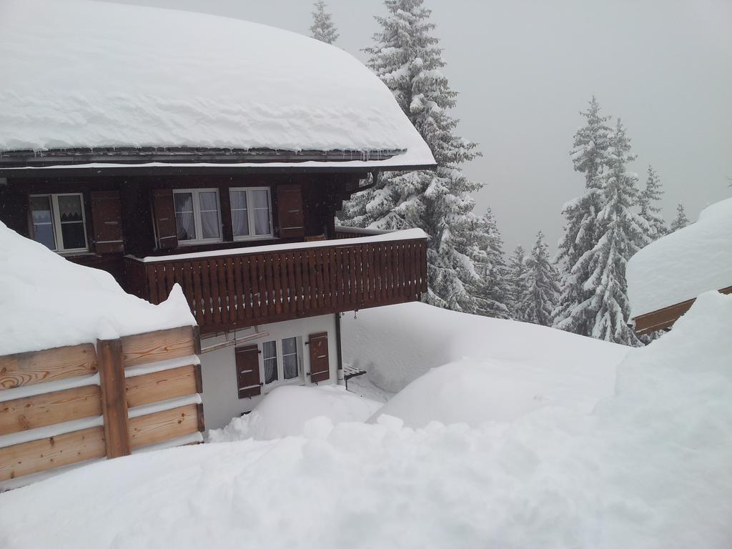 Chalet Grazia Riederalp Extérieur photo