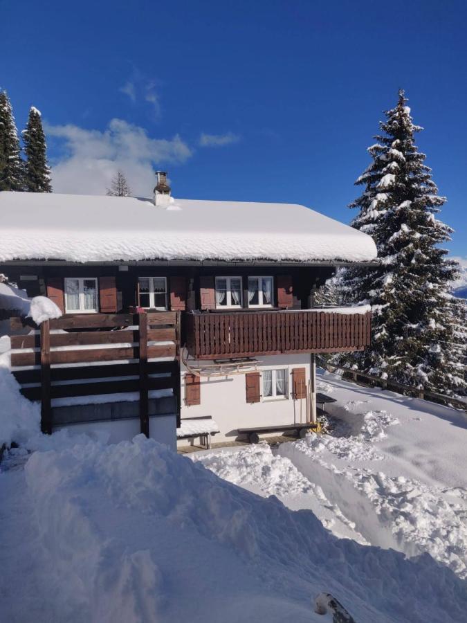 Chalet Grazia Riederalp Extérieur photo